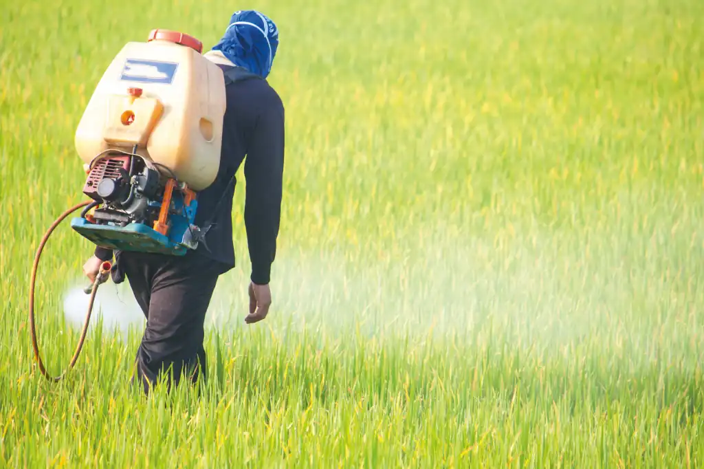 El Gobierno de México anunció la prohibición de 35 moléculas de plaguicidas considerados altamente peligrosos para la salud y el medio ambiente.