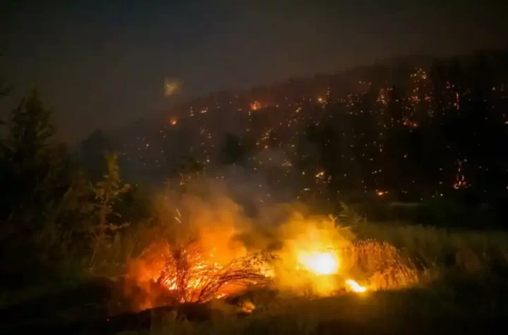 Los incendios forestales en la Patagonia argentina volvieron a encender no solo miles de hectáreas de bosques, sino también teorías conspirativas que circulan en redes sociales y programas de televisión.
