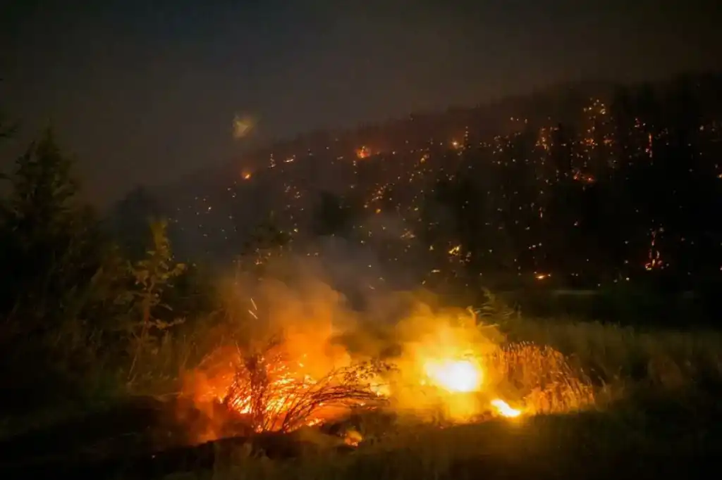 Los incendios forestales en la Patagonia argentina volvieron a encender no solo miles de hectáreas de bosques, sino también teorías conspirativas que circulan en redes sociales y programas de televisión.